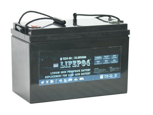 De Draagbare Lifepo4 Batterij van BMS 24V 12AH voor Reservemacht