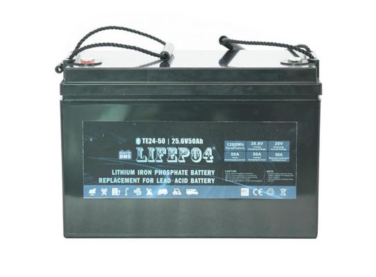 De Draagbare Lifepo4 Batterij van BMS 24V 12AH voor Reservemacht