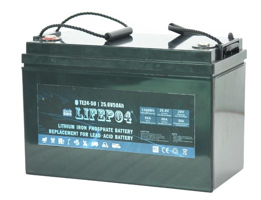Draagbaar de Batterijlifepo4 Lithium Ion Battery van 24v 30ah Lifepo4