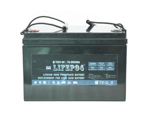 van het de Batterijlithium BMS For Replacement Of van 24V 42AH Draagbaar Lifepo4 het Loodzuur