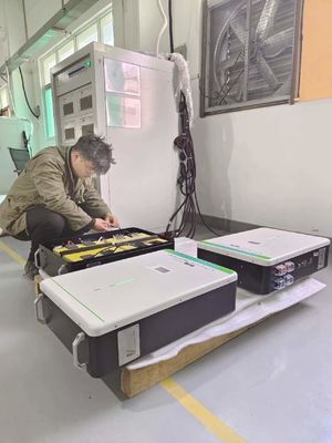 van de Batterijsystemen LiFePo4 van 48V 100AH de Binnenlandse Opgezette Batterij Muur